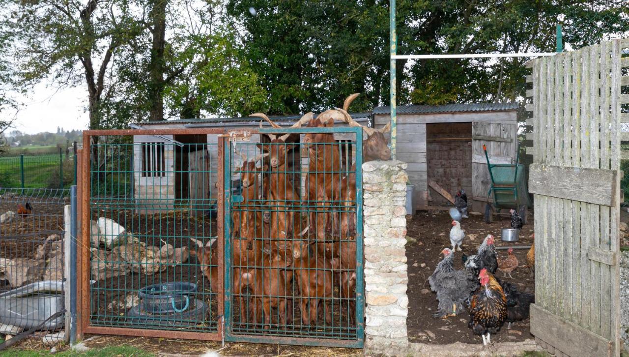 La Ferme Des Nonains Leilighet Montjavoult Eksteriør bilde
